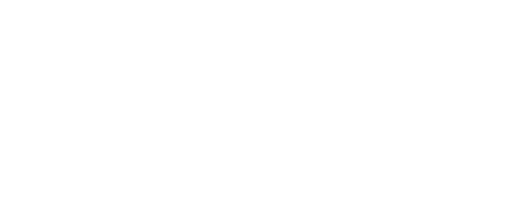 APLEKS logo